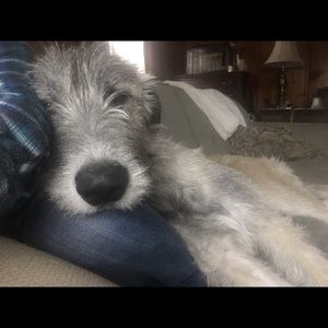 Meet your Posher, Becky